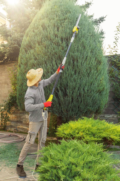 Best Seasonal Cleanup (Spring/Fall)  in Sudan, TX